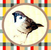 �`�b�`�̎Ⴂ����ł��B