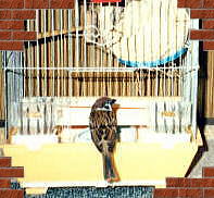 �����Q�܂��A���₷�݁`�`�B