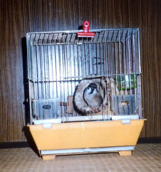 ���̈ʒu�����ɂȂ�܂����B