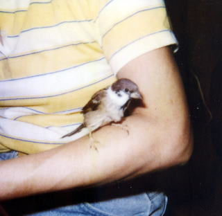 ����ƁA�����܂ł悶�o���Ă��܂�����I