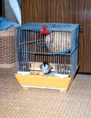 ���̈ʒu����̕��ɂ���܂����B